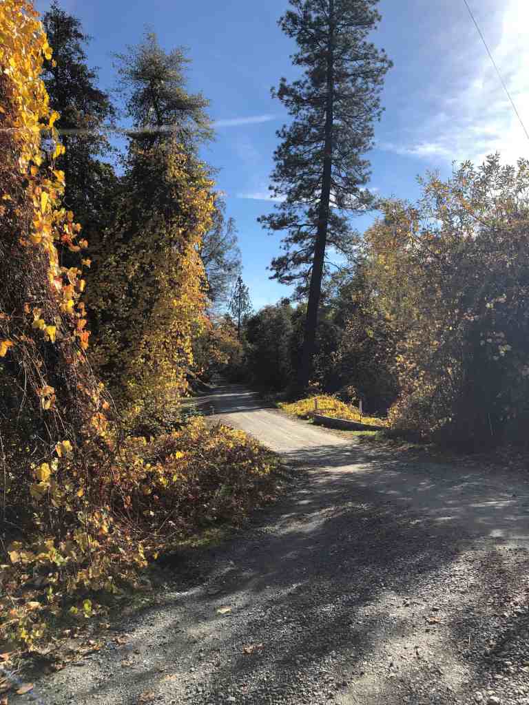 Surrounding area of Sonora California