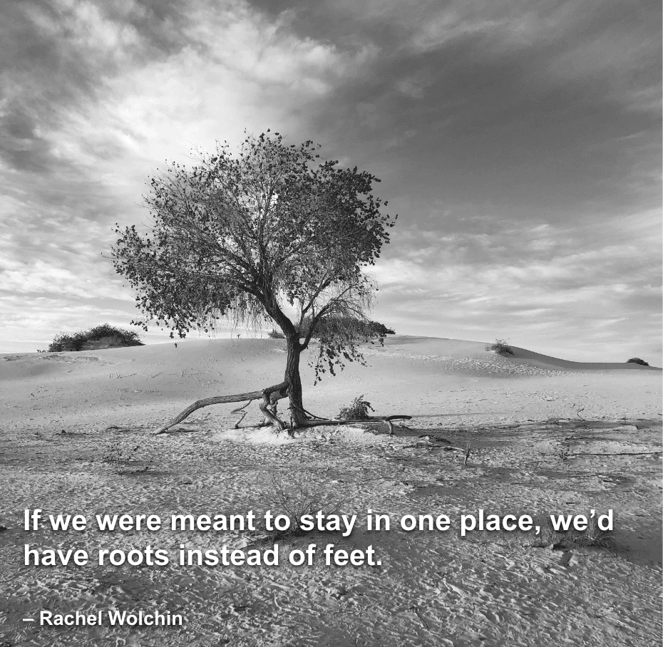 quote on traveling - "If we were meant to stay in one place, we’d have roots instead of feet." – Rachel Wolchin