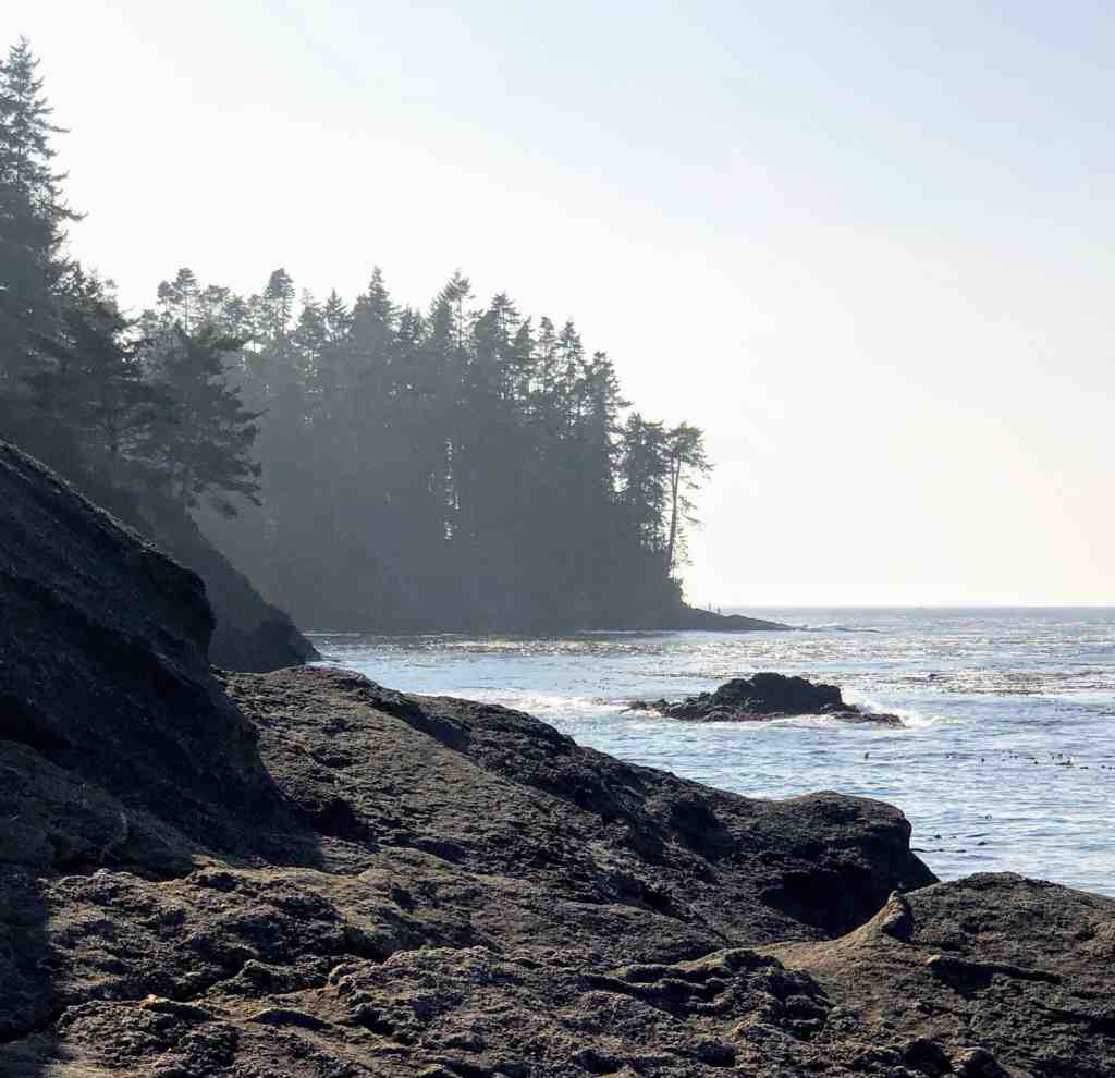 Olympic National Park Itinerary: Salt Creek