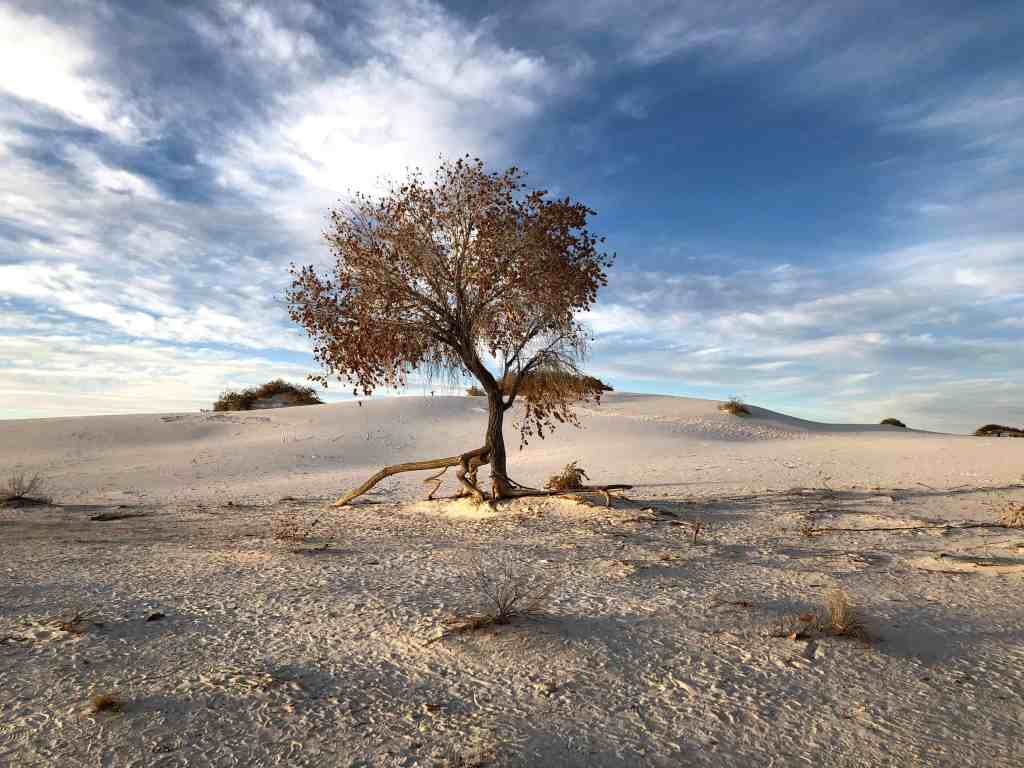 White Sands National Park in Fall
