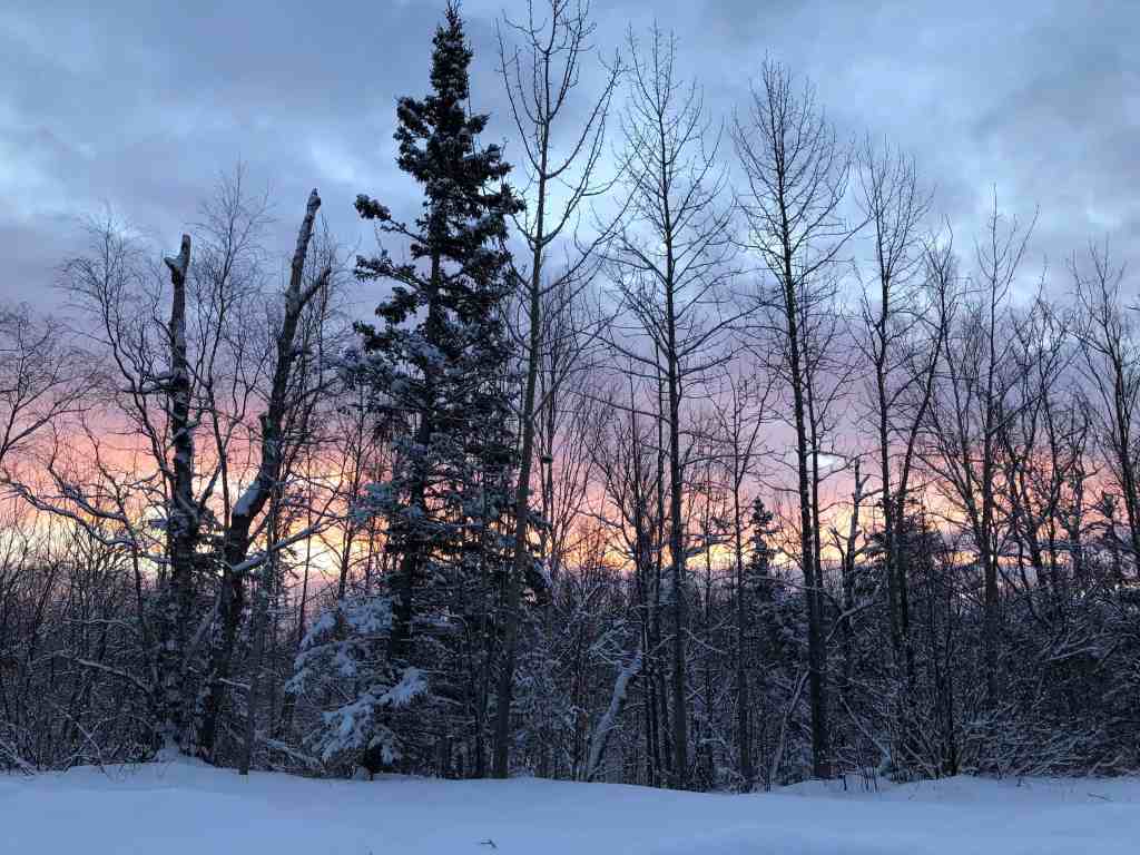 What to wear in winter in Alaska - winter sunrise