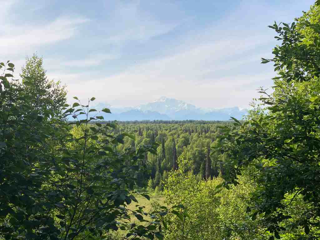 Mt Denali, as seen from Talkeetna, Alaska