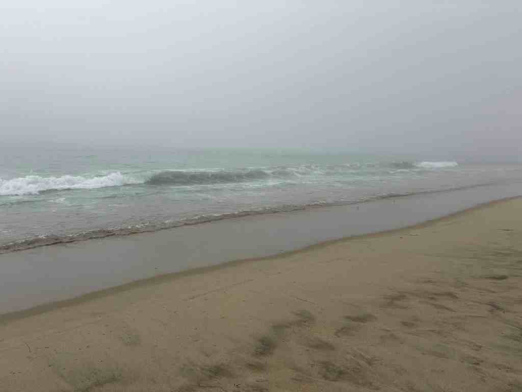Beach with fire pits in Los Angeles - wintertime by the beach