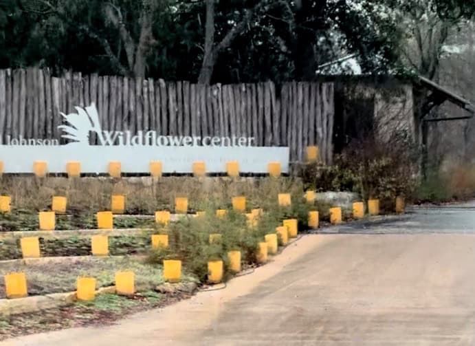 Illuminations at the Ladybird Wildflower Center in Austin Texas