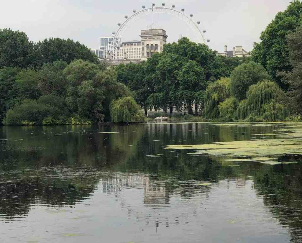View of the London eye in London, England