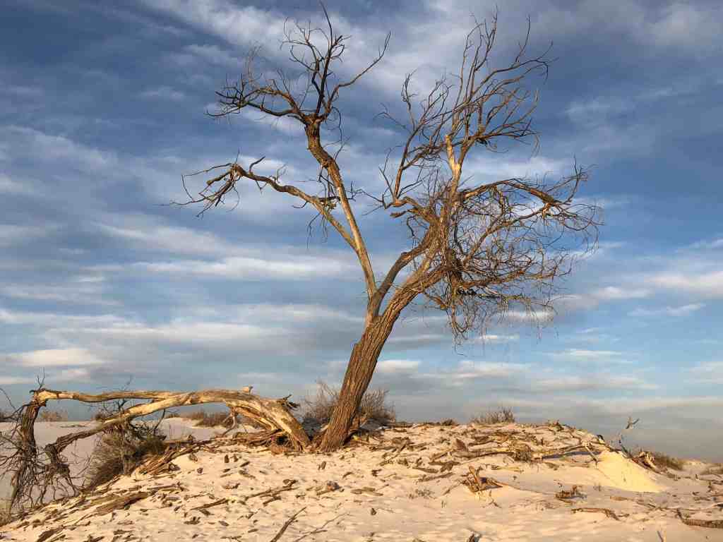 Slow traveling in the US - White Sands, NM