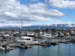 Homer, Alaska - the Homer Marina