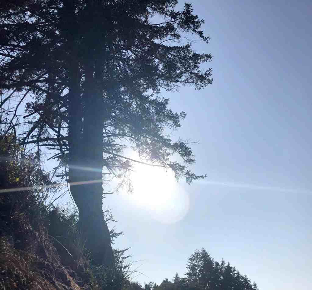 Hiking around the Olympic Peninsula