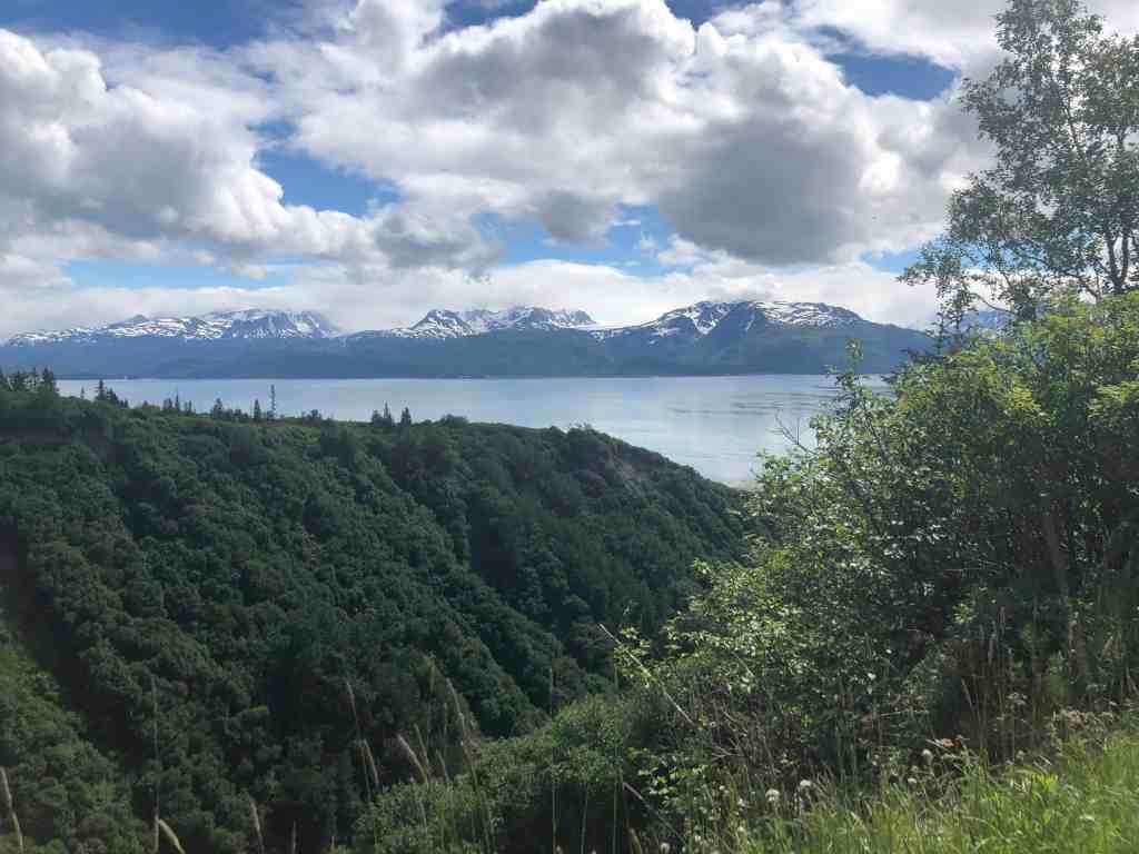 Things to do Homer, Alaska - Kachemak Bay 