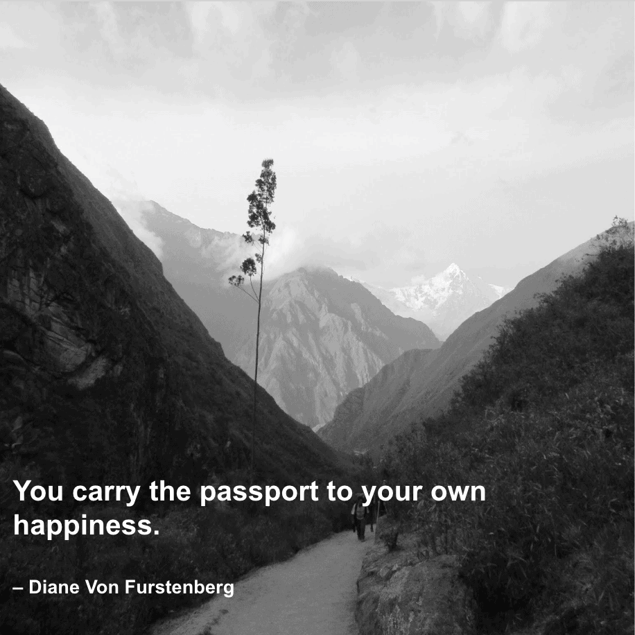 Traveling solo quotes - You carry the passport to your own happiness. – Diane Von Furstenberg