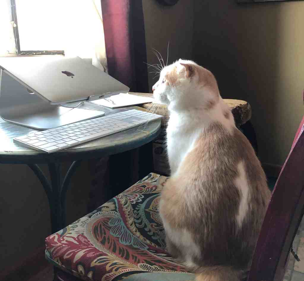 best computers for working remotely - the MacBook Pro