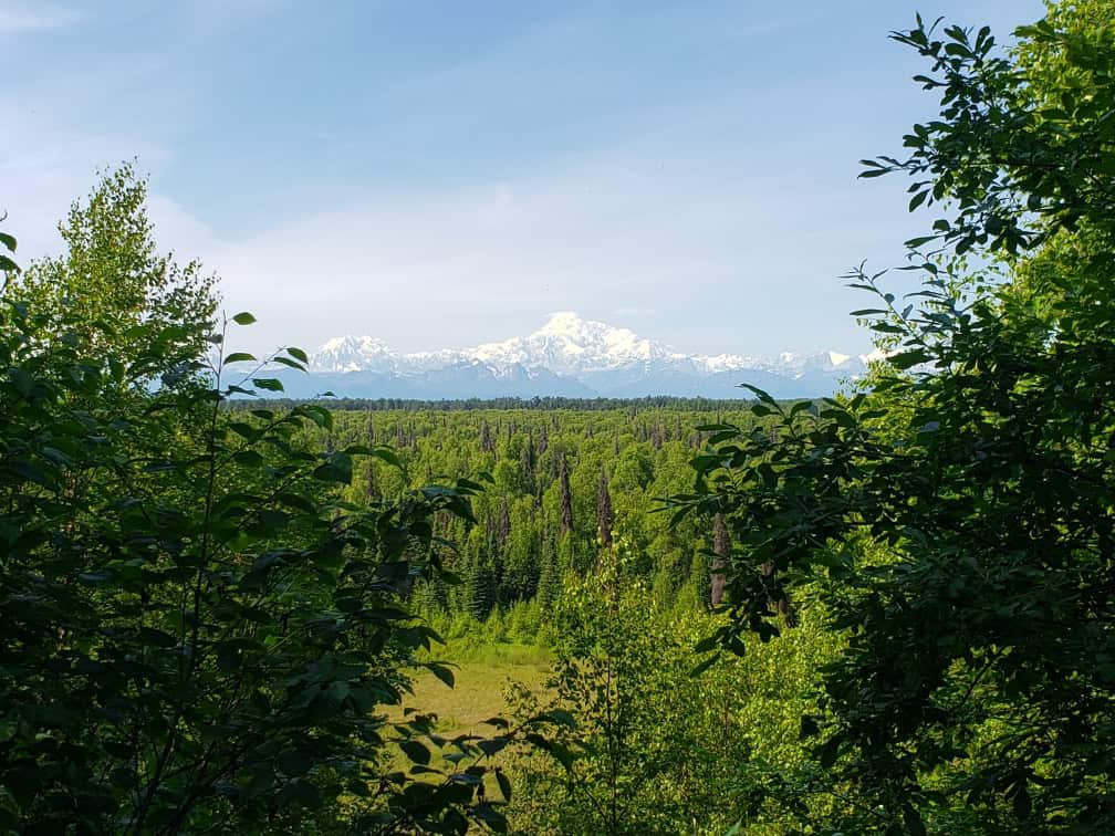 Mount Denali