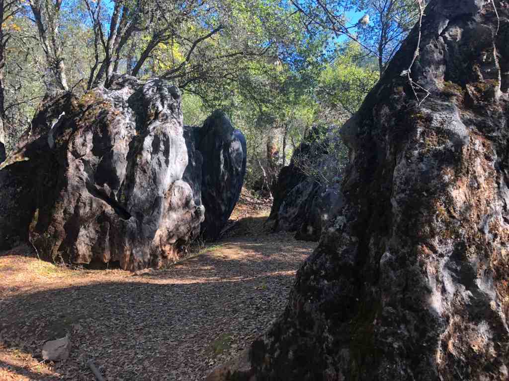 Landscape surrounding Sonora California