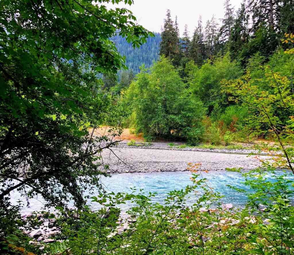 Olympic National Park Itinerary: Hoh River