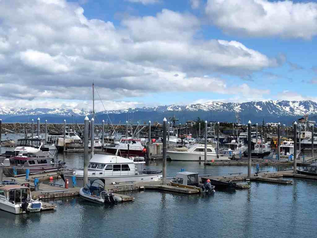 Alaskan Adventures - Harbor in Homer, Alaska