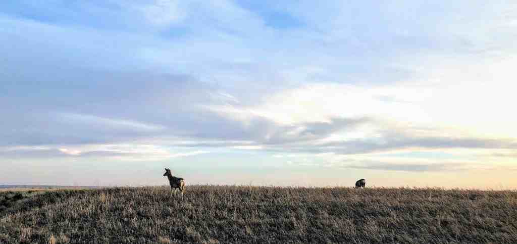American Roadtrip Holidays - Badlands National Park in South Dakota
