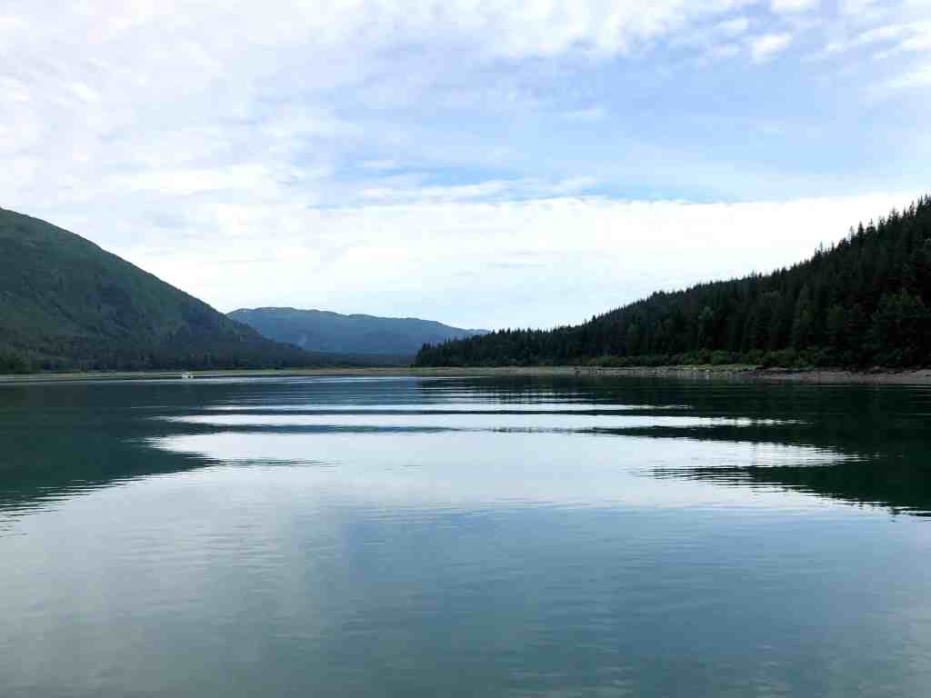 Glacier Bay, view from the boat