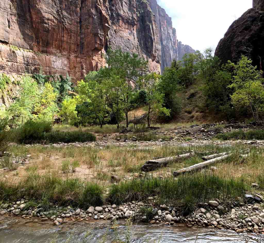 Riverside Walk at Zion National Park 