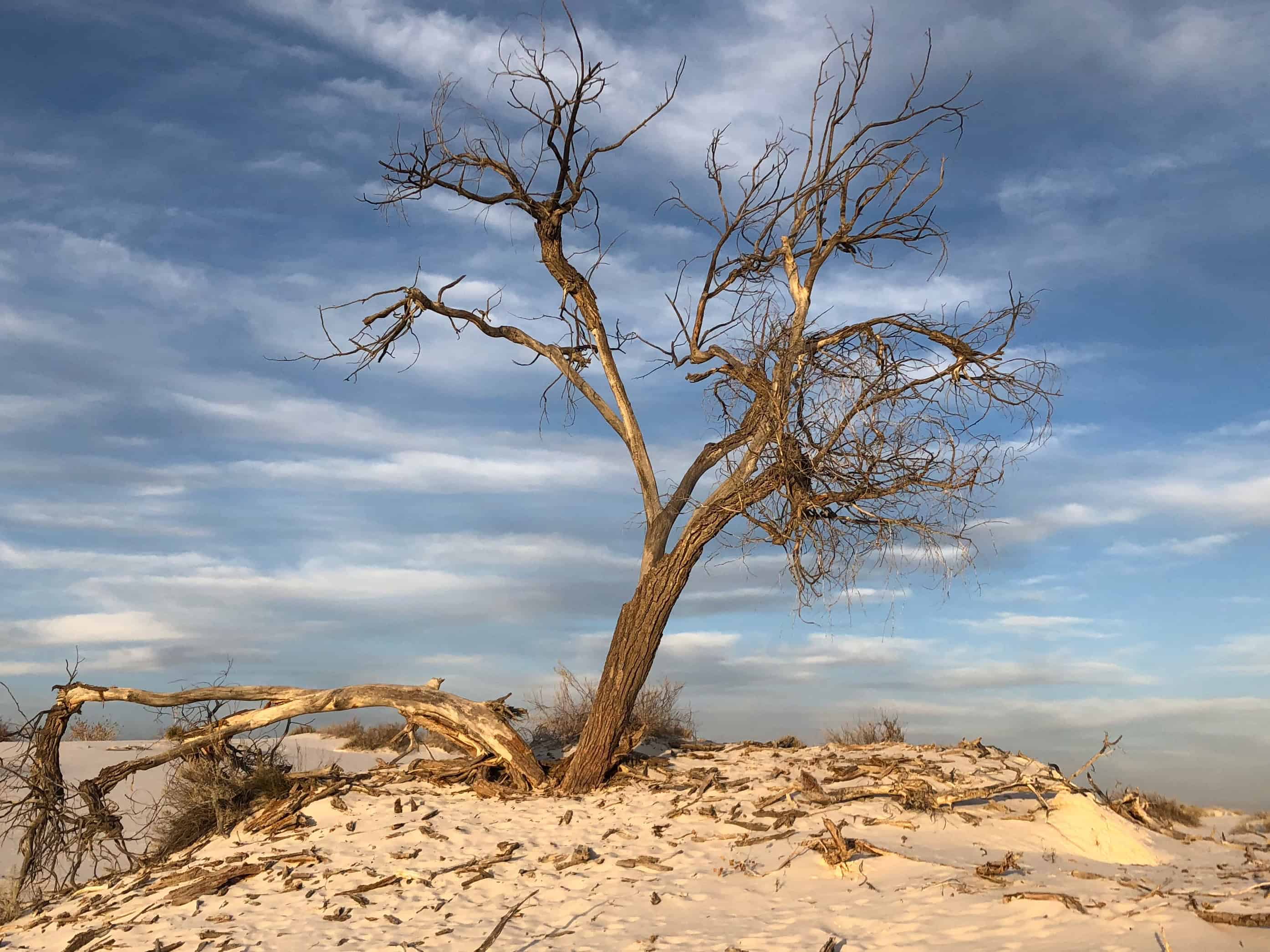Traveling alone in the desert of Arizona 