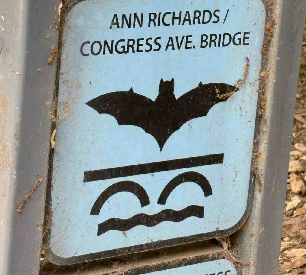 Weekend in Austin - see the bats near the Congress Bridge