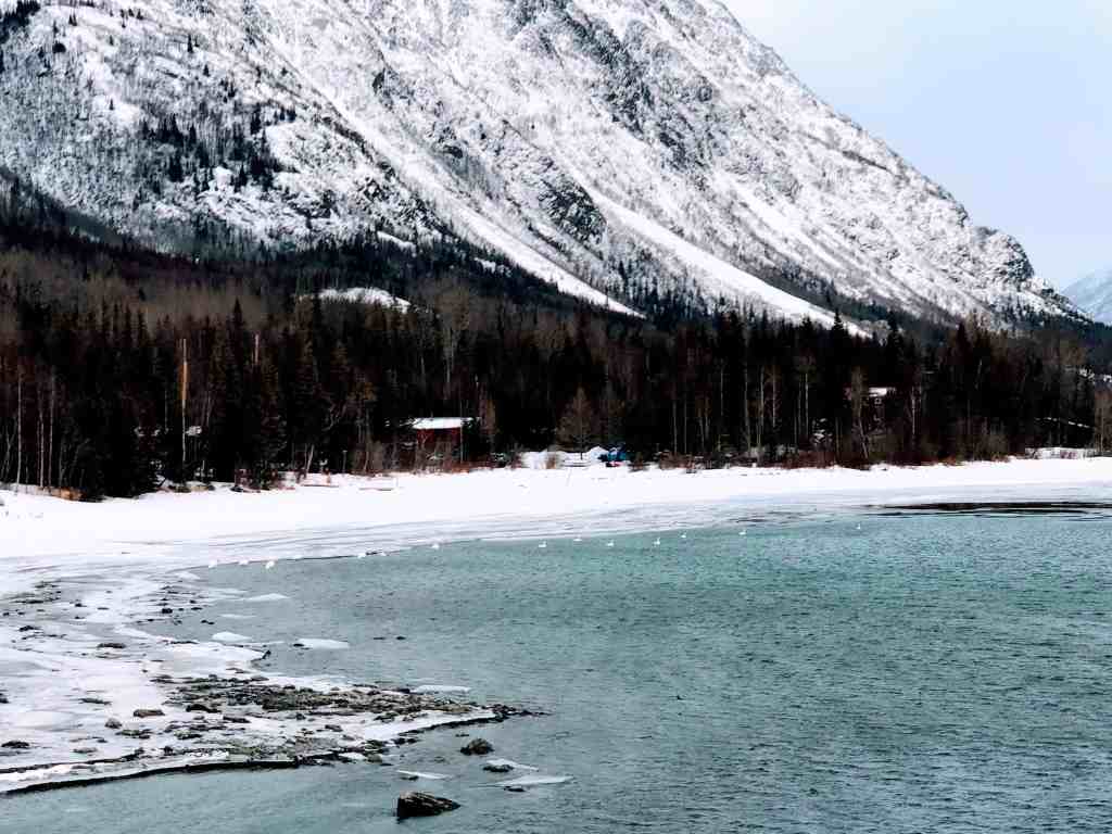 Alaskan Adventures - winter in Alaska