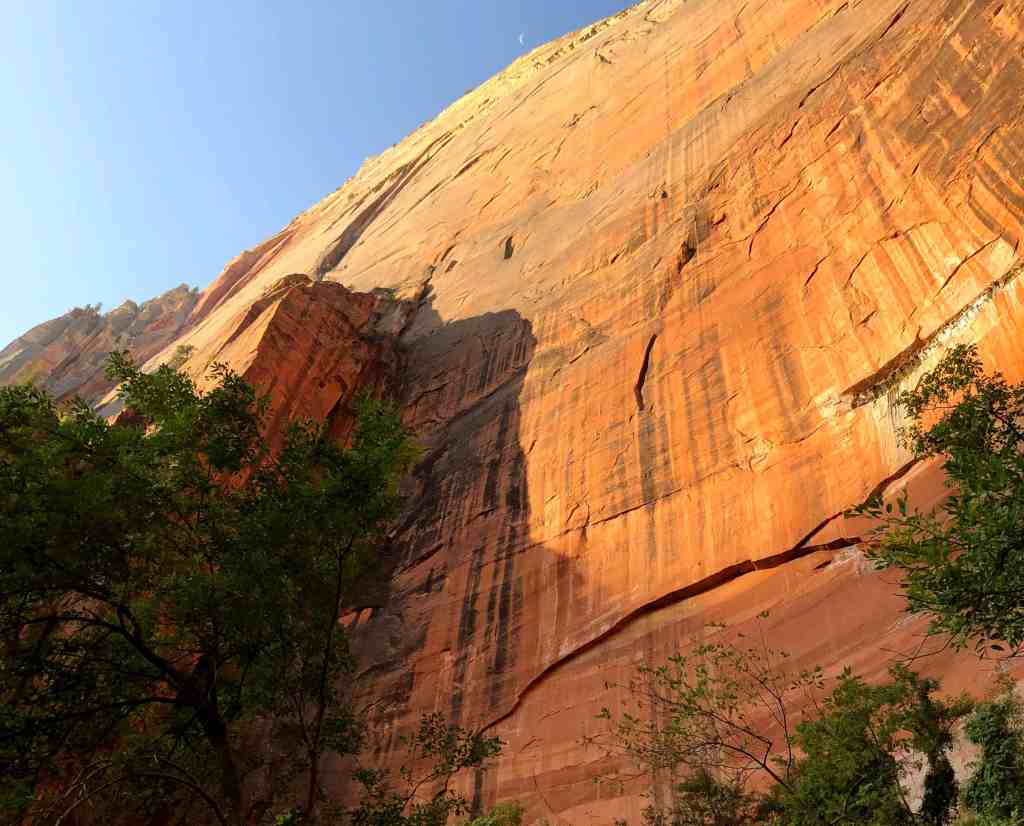 Things to do in Zion National Park Besides Hiking - Rock Climbing