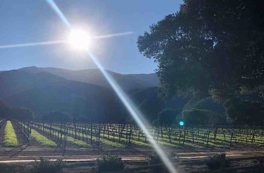 Monterey California Wineries - the Santa Lucia Highlands
