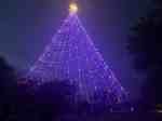 Christmas in Austin - Zilker Holiday Tree